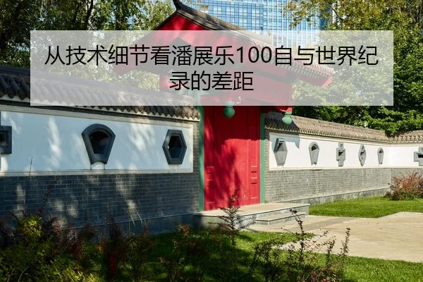 从技术细节看潘展乐100自与世界纪录的差距